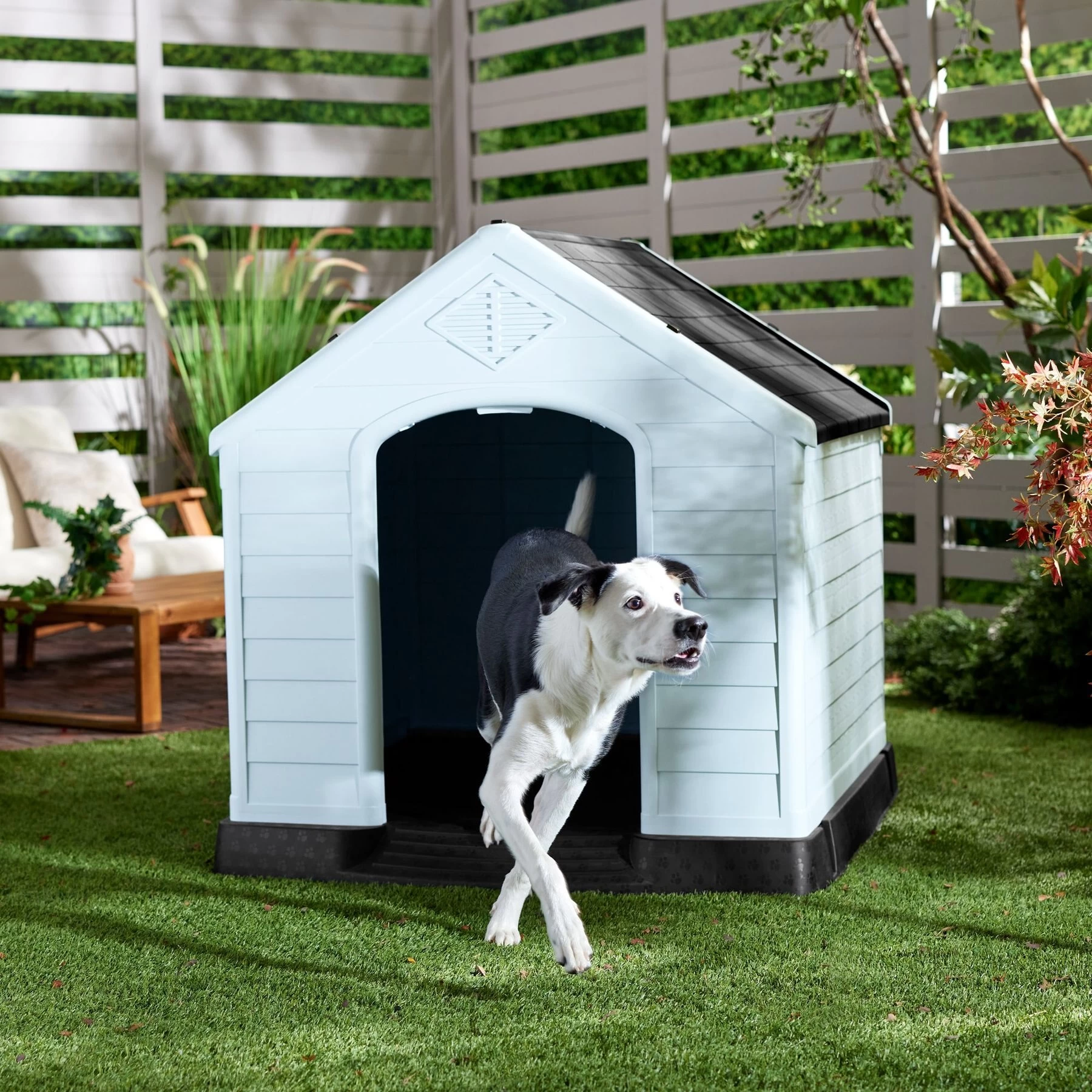 Frisco Plastic Outdoor Dog House With Elevated Platform 1 Frisco Plastic Outdoor Dog House With Elevated Platform
