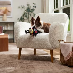 Frisco Valentine Jammin' Ladybug Plush Squeaky Dog Toy -Frisco Shop 371083 PT3. AC SS1800 V1668737455