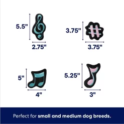 Frisco Valentine Love Song Record Player Hide & Seek Puzzle Plush Squeaky Dog Toy -Frisco Shop 371087 PT2. AC SS1800 V1701364927