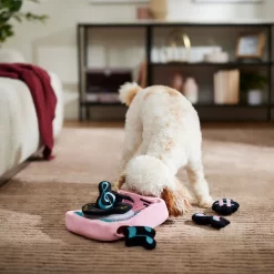 Frisco Valentine Love Song Record Player Hide & Seek Puzzle Plush Squeaky Dog Toy -Frisco Shop 371087 PT3. AC SS1800 V1668737233