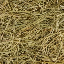 Frisco Small Pet Timothy Hay -Frisco Shop 373037 PT3. AC SS1800 V1653577306