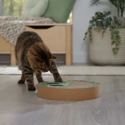 Frisco Interactive Maze & Scratch Cardboard Cat Toy Box With Catnip, Palms 10 Frisco Interactive Maze & Scratch Cardboard Cat Toy Box With Catnip, Palms -Frisco Shop 506130 PT4. AC SS1800 V1669212028