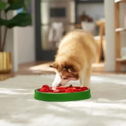 Frisco Watermelon Interactive Puzzle Dog Toy, Advanced -Frisco Shop 506322 PT5. AC SS1800 V1674667034