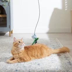 Frisco Leaf & Dragonfly Interchangeable Teaser Wand Cat Toy With Catnip -Frisco Shop 525982 PT3. AC SS1800 V1669148131