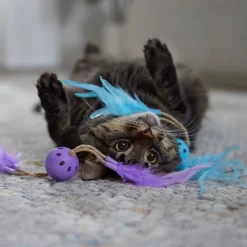 Frisco Feather & Play Plastic Balls Cat Toy, 2 Count -Frisco Shop 525998 PT3. AC SS1800 V1669148124