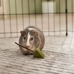 Frisco Hay Trees Small Pet Toy -Frisco Shop 536894 PT3. AC SS1800 V1668902550