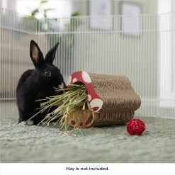 Frisco Mushroom Hide & Chew Small Pet Toy 7 Frisco Mushroom Hide & Chew Small Pet Toy -Frisco Shop 536926 PT3. AC SS1800 V1669393022