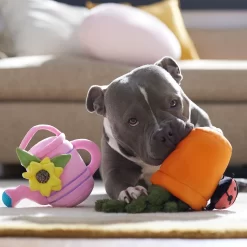 Frisco Spring Potted Plant And Watering Can Plush Squeaky Dog Toy -Frisco Shop 541494 PT4. AC SS1800 V1702500565