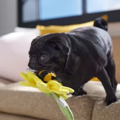 Frisco Spring Sunflower Plush Squeaky Dog Toy -Frisco Shop 546766 PT4. AC SS1800 V1702500565