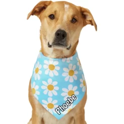 Frisco Personalized Blue Daisy Bandana -Frisco Shop 555206 PT7. AC SS1800 V1669839925