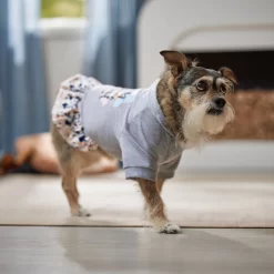 Frisco Stay Wild Dog & Cat Hoodie 14 Frisco Stay Wild Dog & Cat Hoodie -Frisco Shop 555366 PT6. AC SS1800 V1674829061