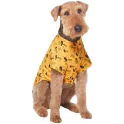 Frisco Safari Zebra Dog & Cat Shirt -Frisco Shop 555566 PT3. AC SS1800 V1675103172