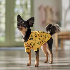 Frisco Safari Zebra Dog & Cat Shirt -Frisco Shop 555566 PT7. AC SS1800 V1675099388