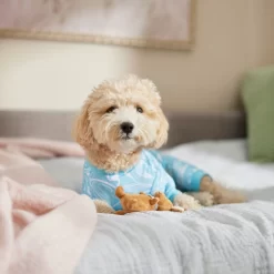 Frisco Blue Ocean Waves Dog & Cat Jersey PJs -Frisco Shop 556142 PT5. AC SS1800 V1674828705