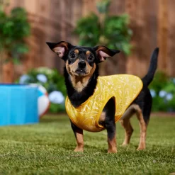 Frisco 30+ UPF Dog & Cat Beach Rash Guard 14 Frisco 30+ UPF Dog & Cat Beach Rash Guard -Frisco Shop 556286 PT6. AC SS1800 V1675714036