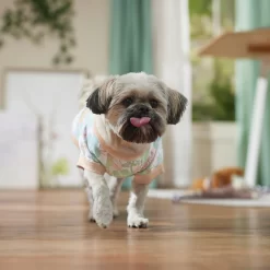 Frisco Vintage Tropical Dog & Cat Pocket T-Shirt -Frisco Shop 556598 PT5. AC SS1800 V1675101997