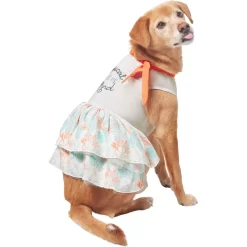 Frisco Tropical State Of Mind Dog & Cat Dress 10 Frisco Tropical State Of Mind Dog & Cat Dress -Frisco Shop 556742 PT3. AC SS1800 V1675103177