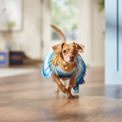 Frisco Beach Vibes Dog & Cat Dress -Frisco Shop 556934 PT5. AC SS1800 V1675280724