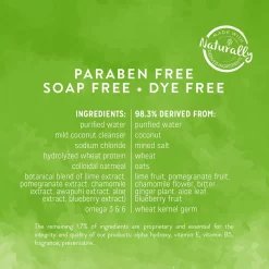 TropiClean Lime & Coconut Deshedding Dog Shampoo & Frisco Shedding Rake Dog & Cat Brush -Frisco Shop 575102 PT3. AC SS1800 V1657660395