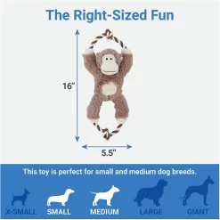 Frisco Forest Friends Stuffing-Free Skinny Plush Squeaky Dog Toy + 3 Items -Frisco Shop 582478 PT6. AC SS1800 V1658239277