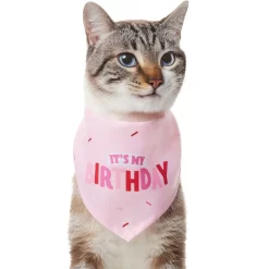 Frisco Dog & Cat Birthday Bandana -Frisco Shop 608206 PT2. AC SS1800 V1676644511
