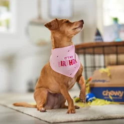 Frisco Dog & Cat Birthday Bandana -Frisco Shop 608206 PT5. AC SS1800 V1676643860