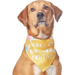 Frisco Wake Up Positive Dog & Cat Bandana 11 Frisco Wake Up Positive Dog & Cat Bandana -Frisco Shop 608230 PT3. AC SS1800 V1676643831