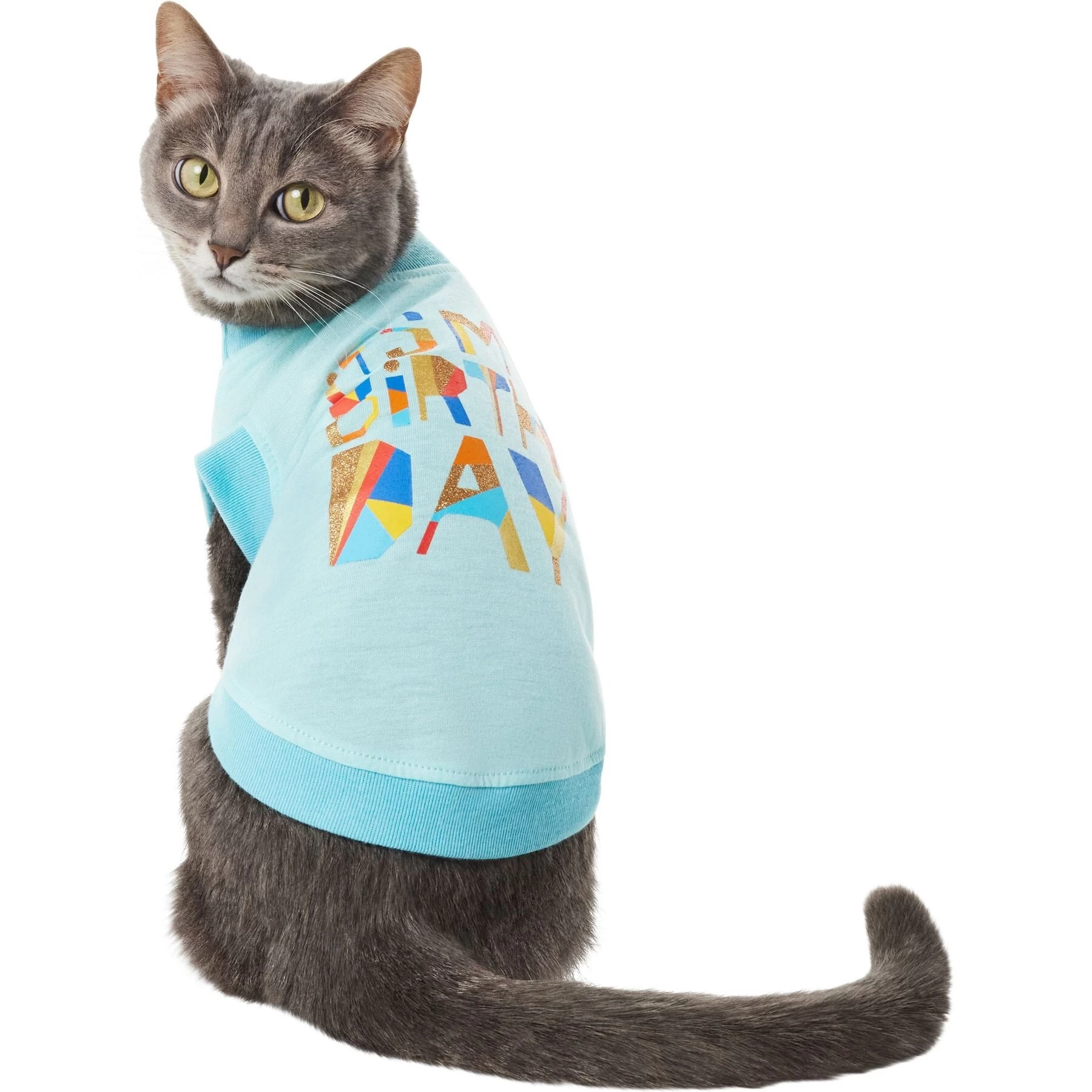 Frisco Birthday Celebration Dog & Cat T-Shirt 3 Frisco Birthday Celebration Dog & Cat T-Shirt - Image 3