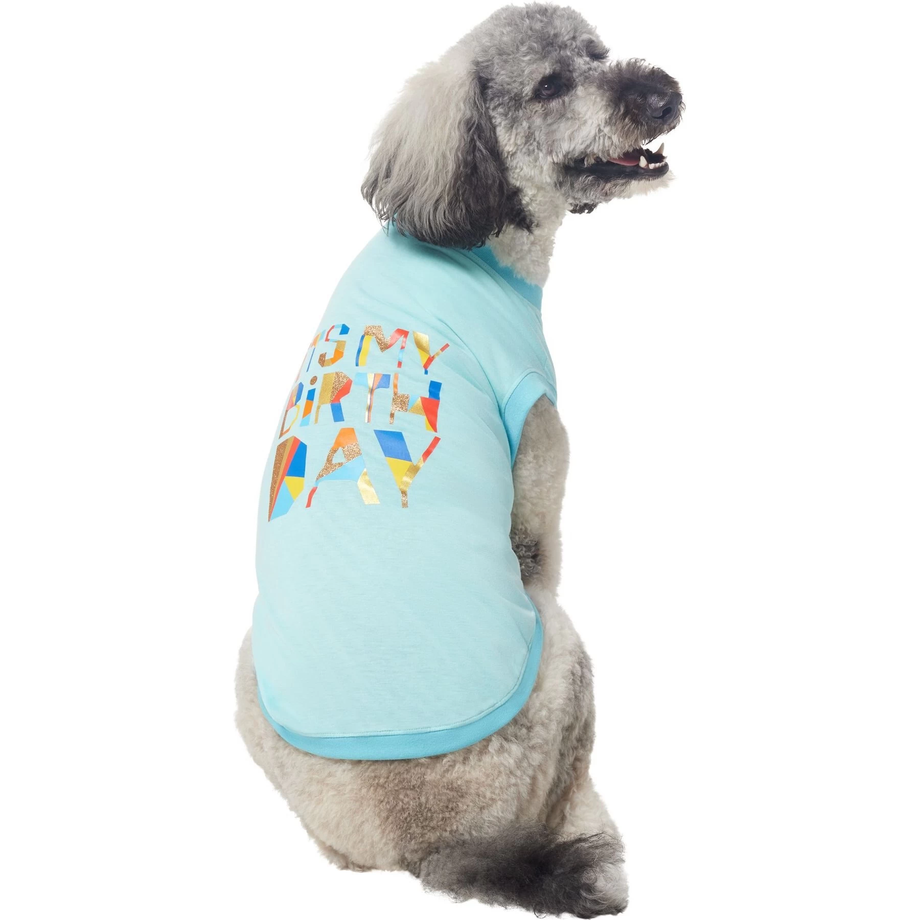 Frisco Birthday Celebration Dog & Cat T-Shirt 4 Frisco Birthday Celebration Dog & Cat T-Shirt - Image 4