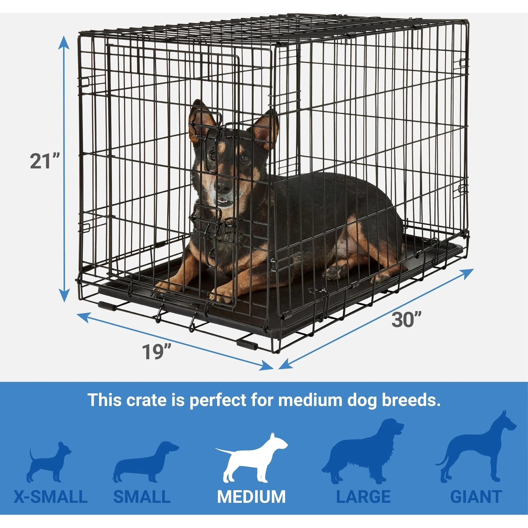 Frisco Fold & Carry Single Door Collapsible Wire Dog Crate + 4 Items 3 Frisco Fold & Carry Single Door Collapsible Wire Dog Crate + 4 Items - Image 3