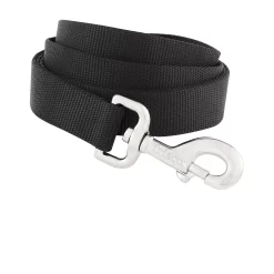 Frisco Solid Nylon Dog Leash + 4 Items 12 Frisco Solid Nylon Dog Leash + 4 Items -Frisco Shop 623766 PT3. AC SS1800 V1662741050
