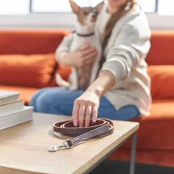 Frisco Top Grain Leather Leash + 4 Items -Frisco Shop 630958 PT4. AC SS1800 V1662742186