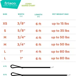 Frisco Solid Nylon Dog Leash & Frisco Travel Collapsible Silicone Dog & Cat Bowl -Frisco Shop 638702 PT3. AC SS1800 V1663254460