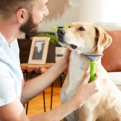 Frisco 71-in Faux Fur Cat Tree & Condo & Frisco Deshedding Dog & Cat Brush -Frisco Shop 660294 PT7. AC SS1800 V1666839309