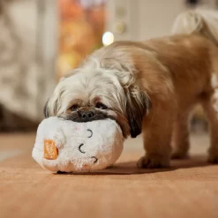 Frisco Halloween Trick Or Treat Ghost Plush Squeaky Dog Toy 8 Frisco Halloween Trick Or Treat Ghost Plush Squeaky Dog Toy -Frisco Shop 667974 PT3. AC SS1800 V1689350978