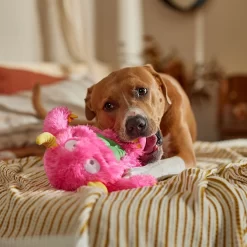 Frisco Halloween Zany Monster Muscle Plush Squeaky Dog Toy 8 Frisco Halloween Zany Monster Muscle Plush Squeaky Dog Toy -Frisco Shop 668166 PT3. AC SS1800 V1689271301