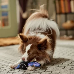 Frisco Halloween Bat Fetch Squeaky Tennis Ball Dog Toy -Frisco Shop 668278 PT3. AC SS1800 V1689350166