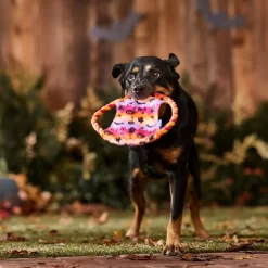 Frisco Halloween Ghost Swirl Fetch Flyer Dog Toy -Frisco Shop 668294 PT3. AC SS1800 V1689278363