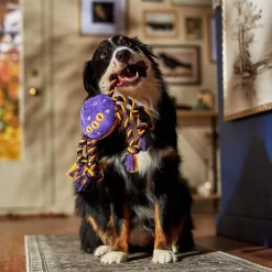 Frisco Halloween Magical Spider Plush With Rope Squeaky Dog Toy -Frisco Shop 668310 PT3. AC SS1800 V1690571954