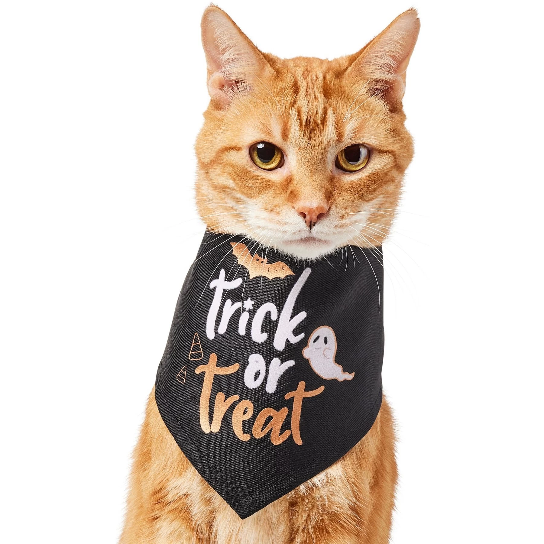 Frisco Trick Or Treat Dog & Cat Bandana 1 Frisco Trick Or Treat Dog & Cat Bandana