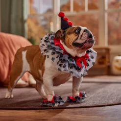 Frisco Clown Dog & Cat Costume Accessory -Frisco Shop 706526 PT7. AC SS1800 V1689282556