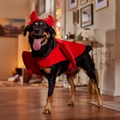 Frisco My Little Devil Dog & Cat Costume Accessory 14 Frisco My Little Devil Dog & Cat Costume Accessory -Frisco Shop 706622 PT7. AC SS1800 V1689342200
