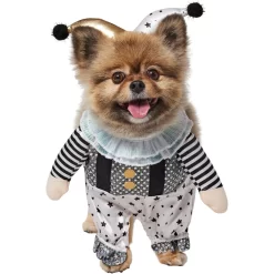 Frisco Front Walking Glitter Clown Dog & Cat Costume 11 Frisco Front Walking Glitter Clown Dog & Cat Costume -Frisco Shop 707542 PT2. AC SS1800 V1689351699