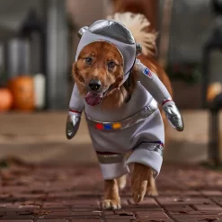 Frisco Front Walking LED Astronaut Dog & Cat Costume 14 Frisco Front Walking LED Astronaut Dog & Cat Costume -Frisco Shop 707630 PT7. AC SS1800 V1689278700
