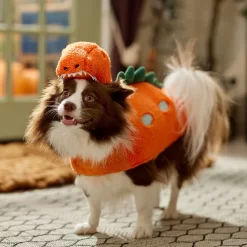 Frisco Furry Dinosaur Dog & Cat Costume 14 Frisco Furry Dinosaur Dog & Cat Costume -Frisco Shop 708190 PT7. AC SS1800 V1689278373