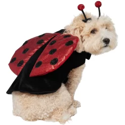 Frisco Glittered Ladybug Dog & Cat Costume -Frisco Shop 708254 PT3. AC SS1800 V1689350986