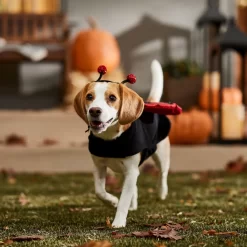 Frisco Glittered Ladybug Dog & Cat Costume -Frisco Shop 708254 PT7. AC SS1800 V1689354959