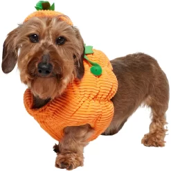 Frisco Pumpkin Ball Dog & Cat Costume -Frisco Shop 708902 PT2. AC SS1800 V1689351041
