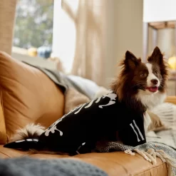 Frisco Glow In The Dark Skeleton Dog & Cat Costume -Frisco Shop 709038 PT7. AC SS1800 V1689350988