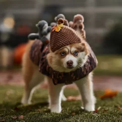 Frisco Squirrels & Nuts Ride-On Dog & Cat Costume -Frisco Shop 709422 PT7. AC SS1800 V1689270909